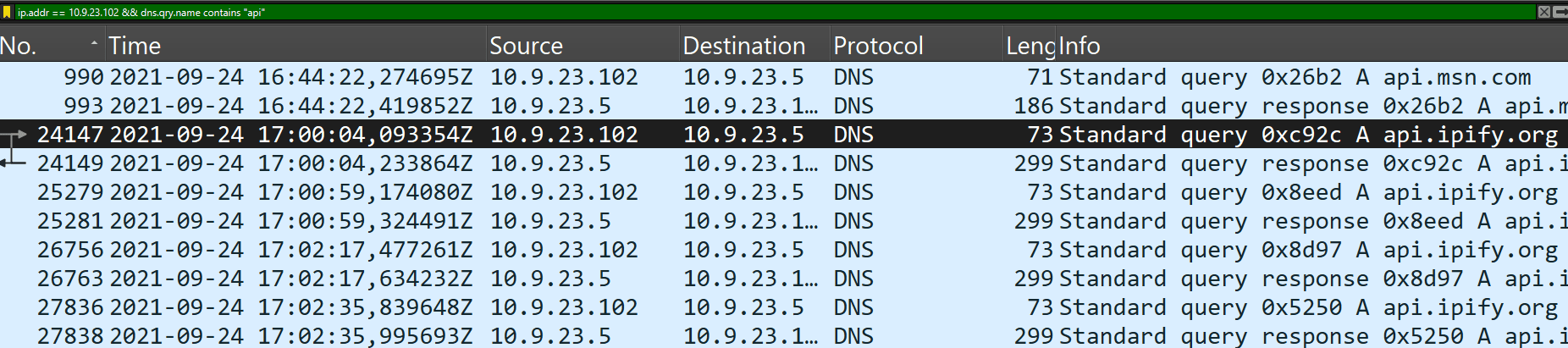 Wireshark DNS traffic filtered for API-related queries, showing the request to api.ipify.org from the victim host.