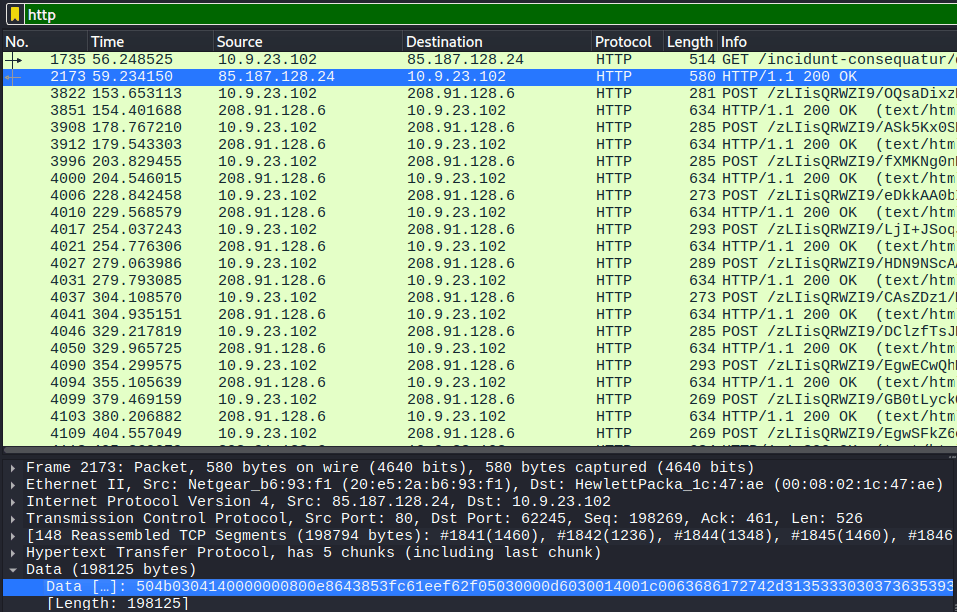 Wireshark HTTP 200 OK response with the Data section selected to inspect the payload in hexadecimal and ASCII of the file in the zip file